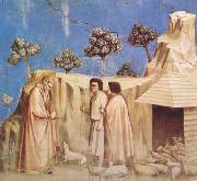 GIOTTO di Bondone, Joachim Takes Refuge in the Wilderness (mk08)